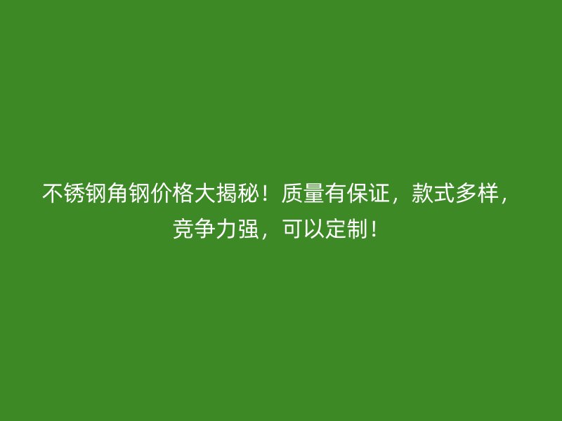 不銹鋼角鋼價格大揭秘！質(zhì)量有保證，款式多樣，競爭力強，可以定制！